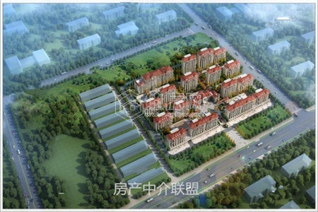 四海城转盘附近信用社家属院一楼送小院可分期急售